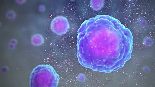 Types of Immune Cells Part 1 Immune Cell Function [upl. by Lizbeth379]