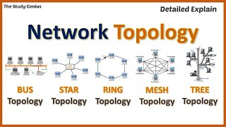 Network Topology  Network topologies  Bus Ring Star Mesh Tree [upl. by Poppo]