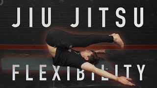 30 Minute Jiu Jitsu BJJ Flexibility Routine FOLLOW ALONG [upl. by Akener]