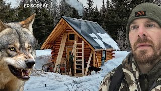 WOLVES Loft Floor New Stairs EP51 Log Cabin Build on OffGrid Homestead [upl. by Aleakam167]