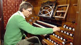 Tour of the sounds of the CavailleColl organ St Sernin toulouse [upl. by Sonahpets941]