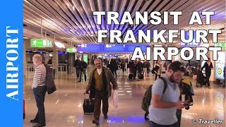 TRANSIT WALK AT FRANKFURT Airport FRA Terminal 1  Connection Flight Transfer Arriving amp Departing [upl. by Rufina]