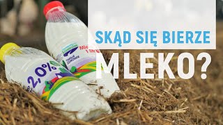 Skąd się bierze mleko [upl. by Niccolo745]