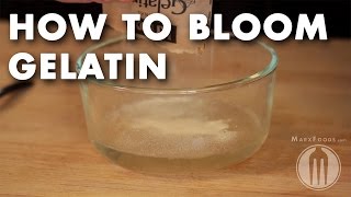 How to Bloom Gelatin  Tutorial Video [upl. by Parlin]