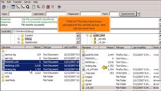 FTP How to Uploadtransfer Files Using FileZilla [upl. by Kopans]