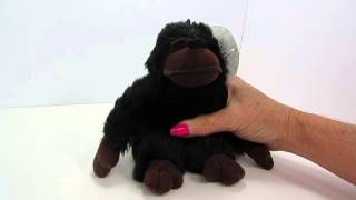 Multipet Look Whos Talking Chimp dog toy [upl. by Carmon]