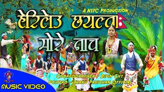 New tharu song 2020  Herileu Chhayalwa Mor Nach  Dosharan Basanti Chaudhary 2021 [upl. by Concoff]